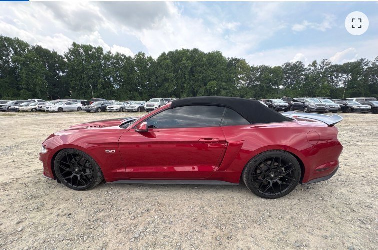 FORD MUSTANG in TUSCALOOSA, AL, United States 3 - 18584261