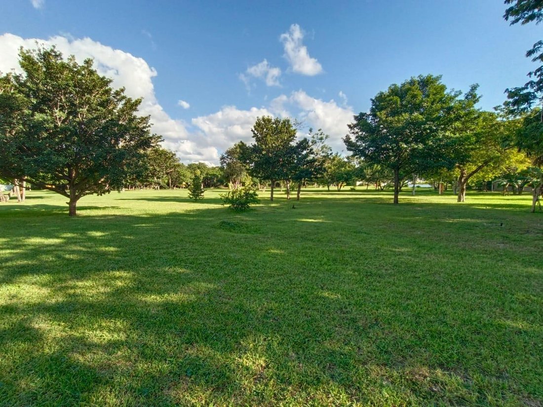 Land in Cancún, Quintana Roo, Mexico 1 - 18582508