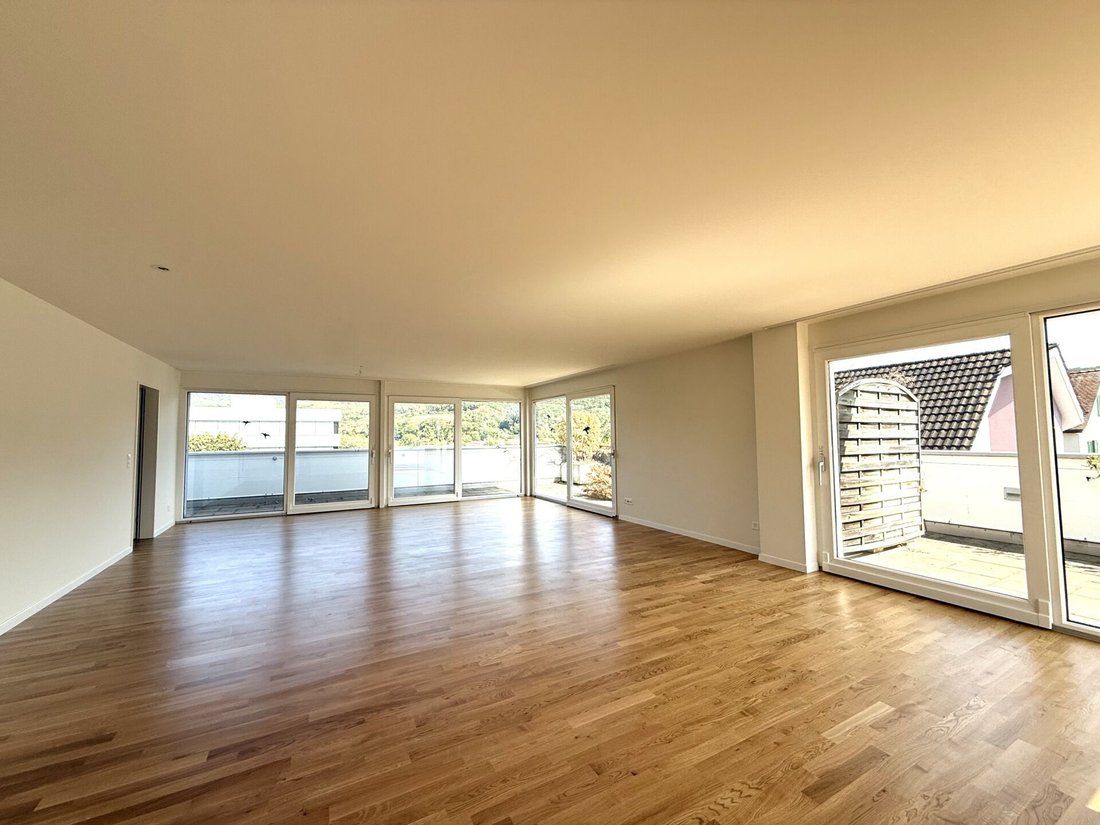 Apartment in Aesch, Basel-Landschaft, Switzerland 1 - 18581512