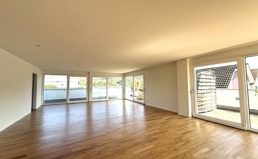 Apartment in Aesch, Basel-Landschaft, Switzerland 1