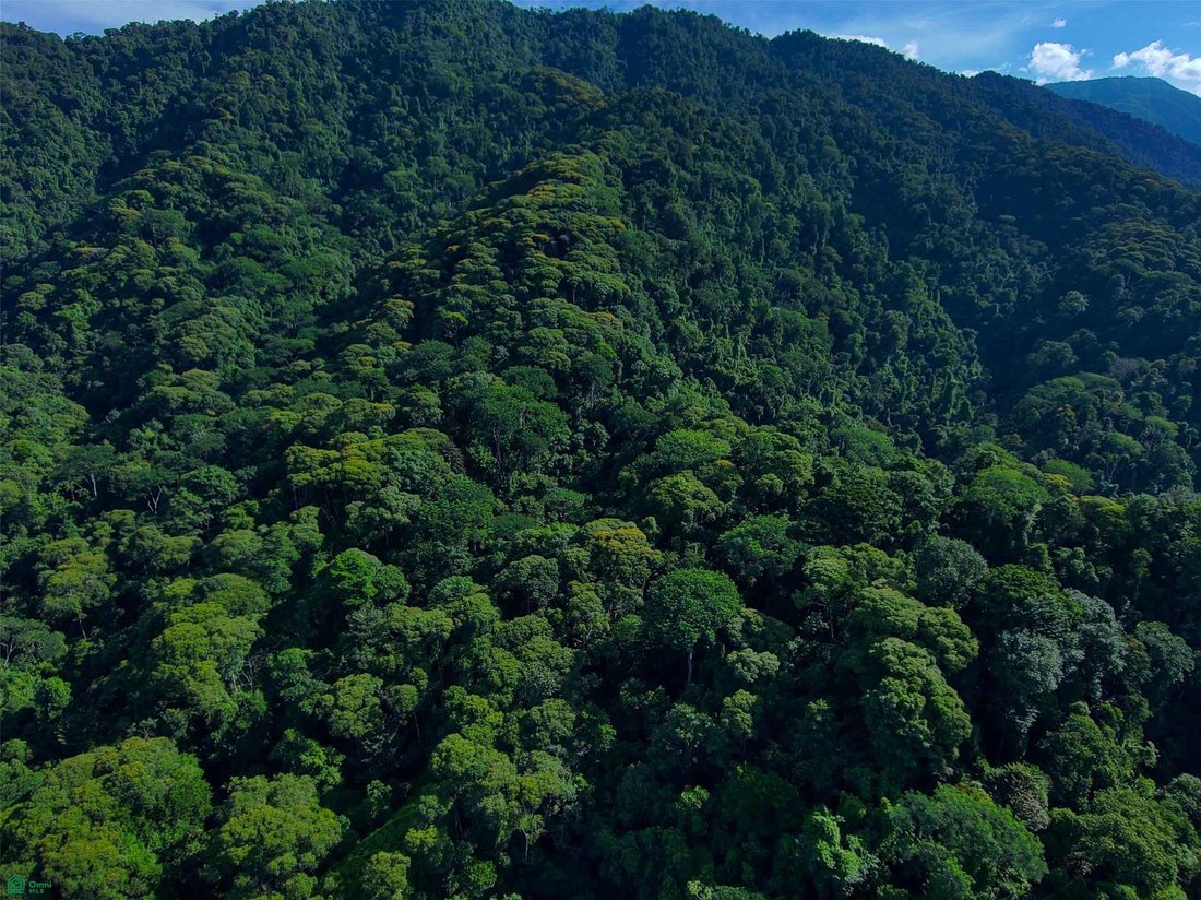 Land in Quepos, Puntarenas Province, Costa Rica 4 - 18332706