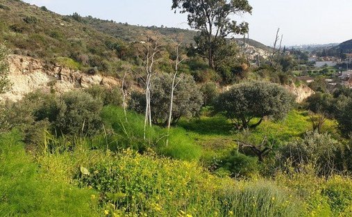 Terrain à Kalavasos, Larnaca, Chypre 1