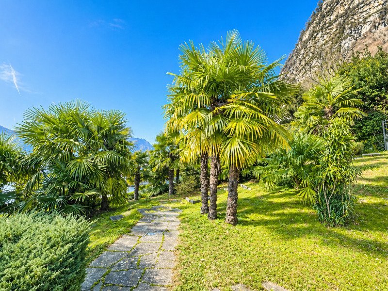 Land in Mendrisio, Ticino, Switzerland 3 - 18580582