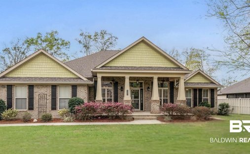 House in Foley, Alabama, United States 1