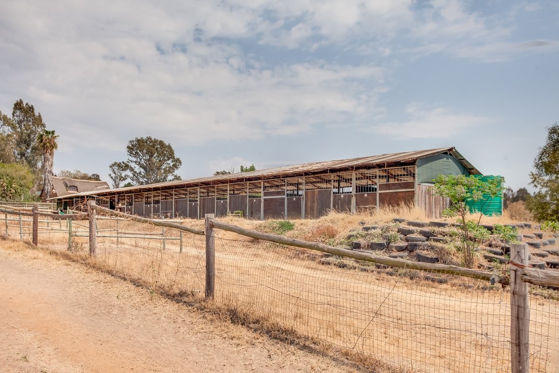 Farm Ranch in Johannesburg, Gauteng, South Africa 4 - 18581635