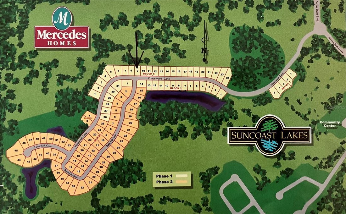 House in Land O' Lakes, Florida, United States 4 - 18573465