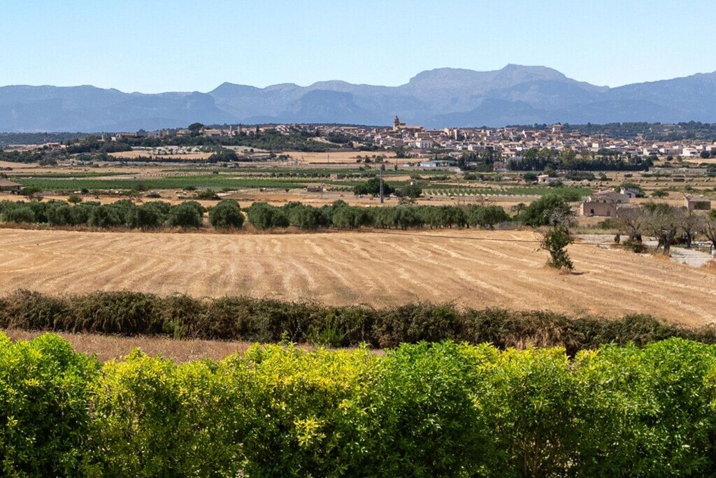 Farm Ranch in Montuiri, Balearic Islands, Spain 1 - 18584393