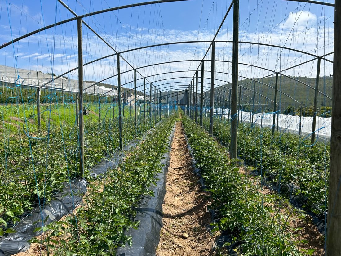 Farm Ranch in Mossel Bay, Western Cape, South Africa 2 - 18581791