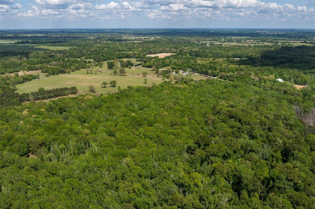 Farm Ranch in Athens, Texas, United States 5 - 18584995