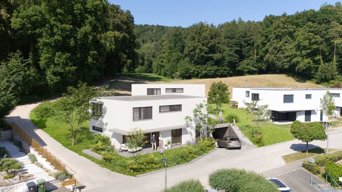 House in Oetwil an der Limmat, Zürich, Switzerland 1 - 18583489