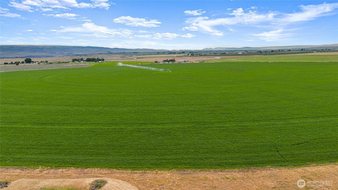 Farm Ranch in Quincy, Washington, United States 2 - 18045482