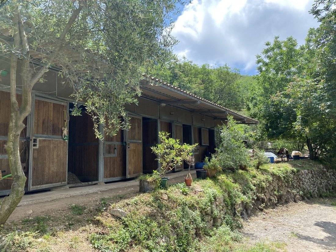 House in Plan de Noves, Vence, France 1 - 18586204