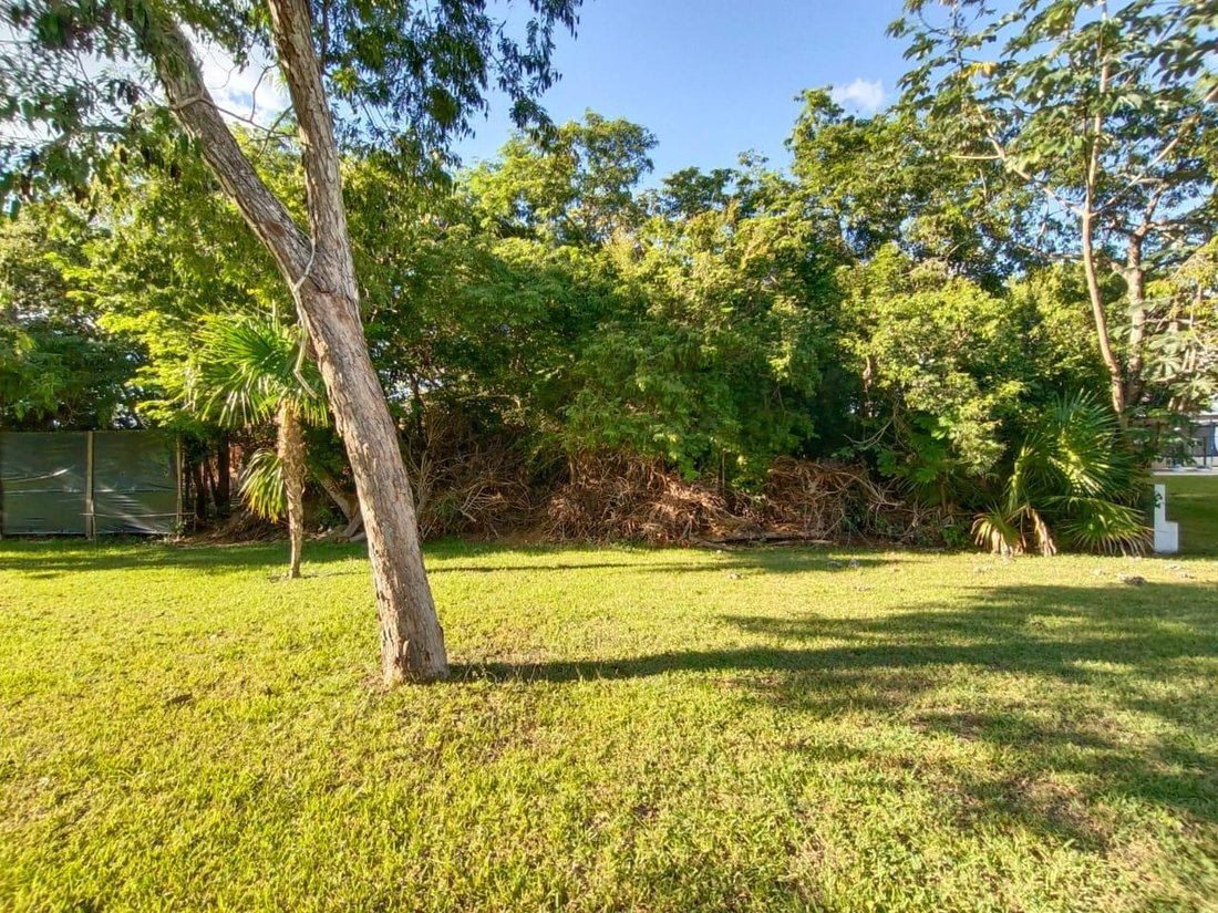 Land in Cancún, Quintana Roo, Mexico 3 - 18582508