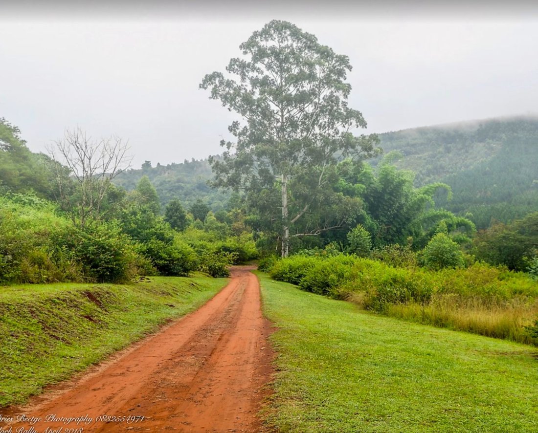 Farm Ranch in Sabie, Mpumalanga, South Africa 3 - 18584850