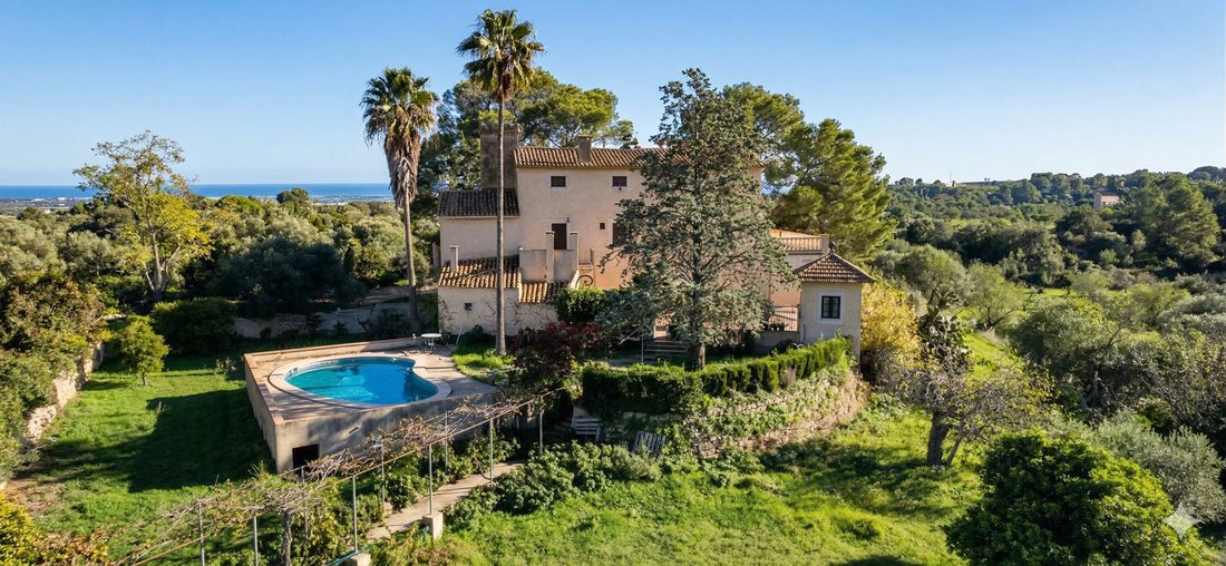 Finca in Palma, Balearic Islands, Spain 1 - 17425935