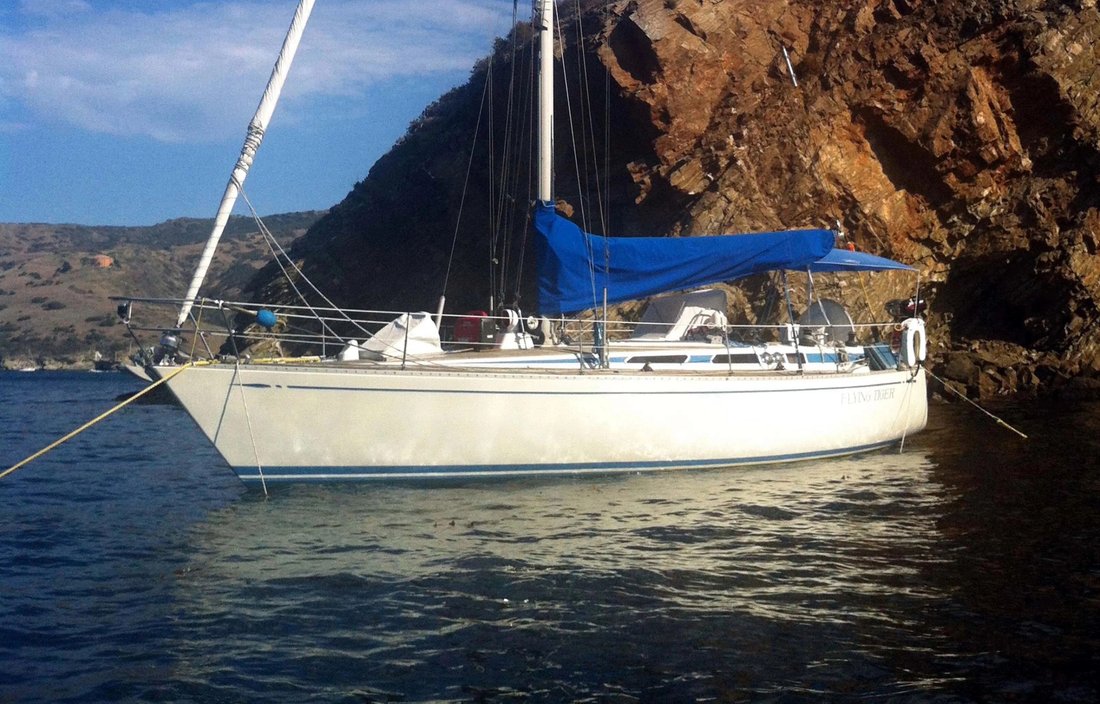 Cruiser in United States 1 - 17885369