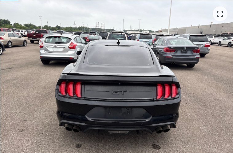 FORD MUSTANG in TUSCALOOSA, AL, United States 4 - 18584257