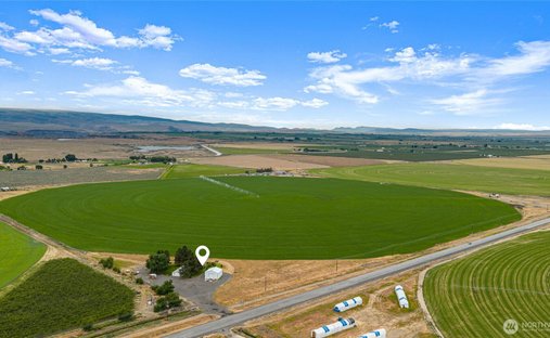 Farm Ranch in Quincy, Washington, United States 1