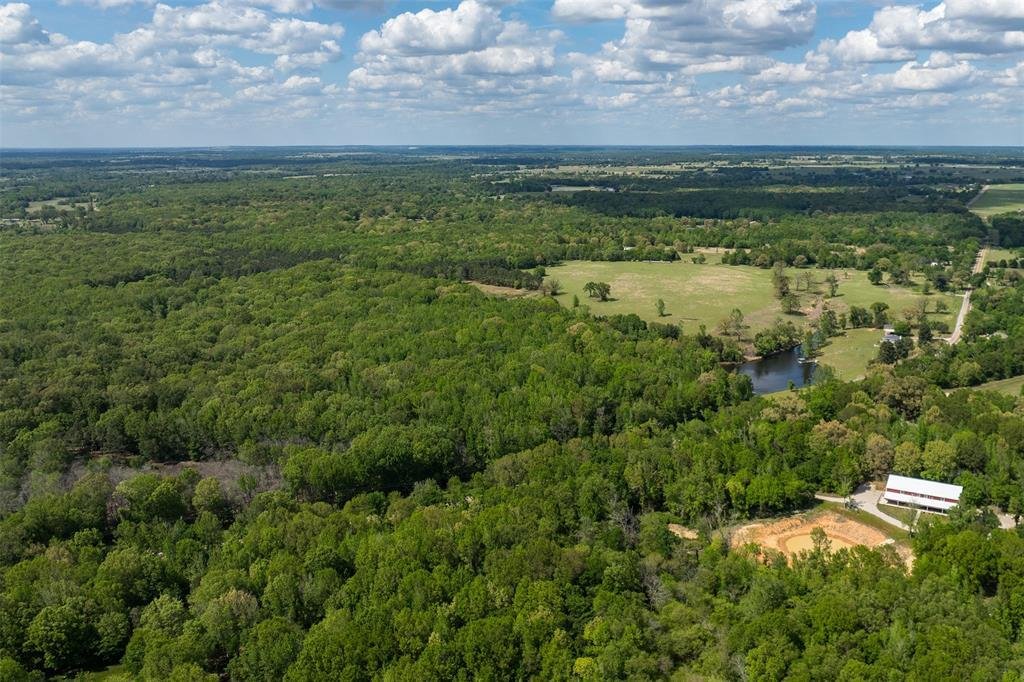 Farm Ranch in Athens, Texas, United States 4 - 18584995