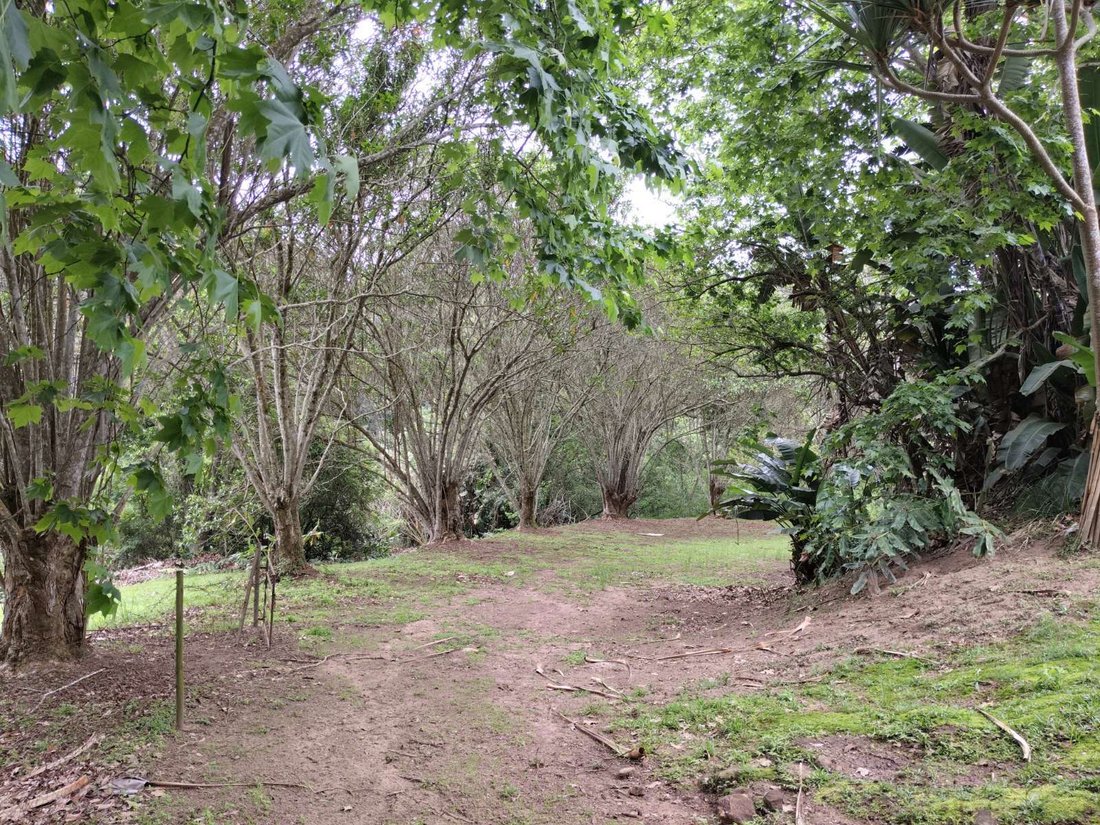 House in Johannesburg, Gauteng, South Africa 3 - 18585151