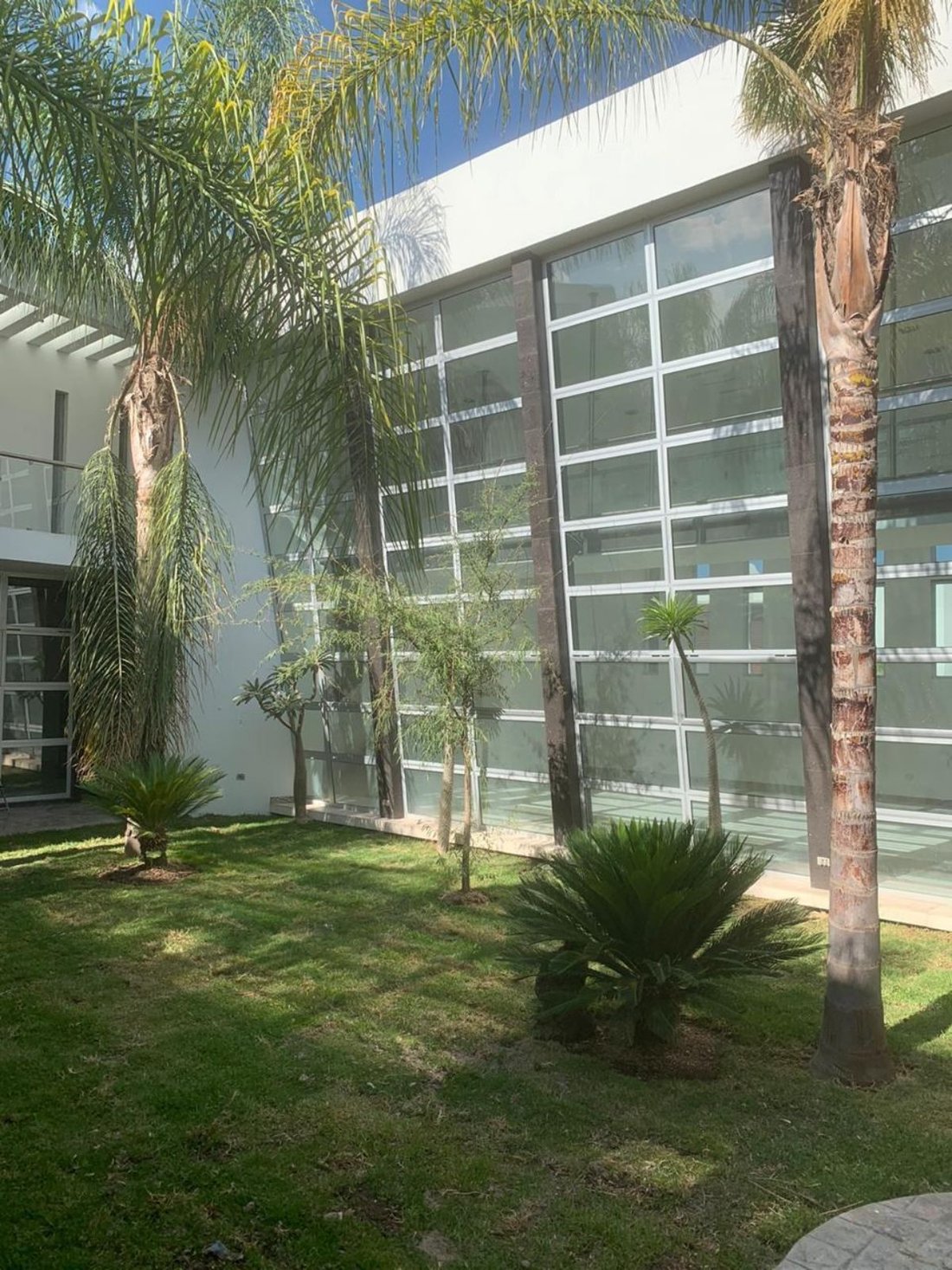 House in San Luis Potosí, San Luis Potosi, Mexico 2 - 18582916