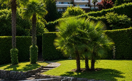 Villa a Collina d'Oro, Ticino, Svizzera 1