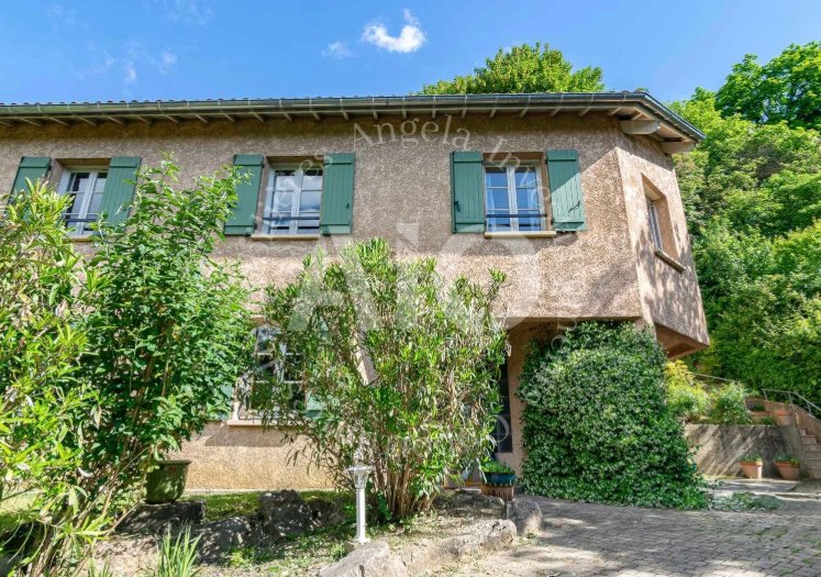 Villa in Couzon-au-Mont-d'Or, Auvergne-Rhône-Alpes, France 3 - 18585263