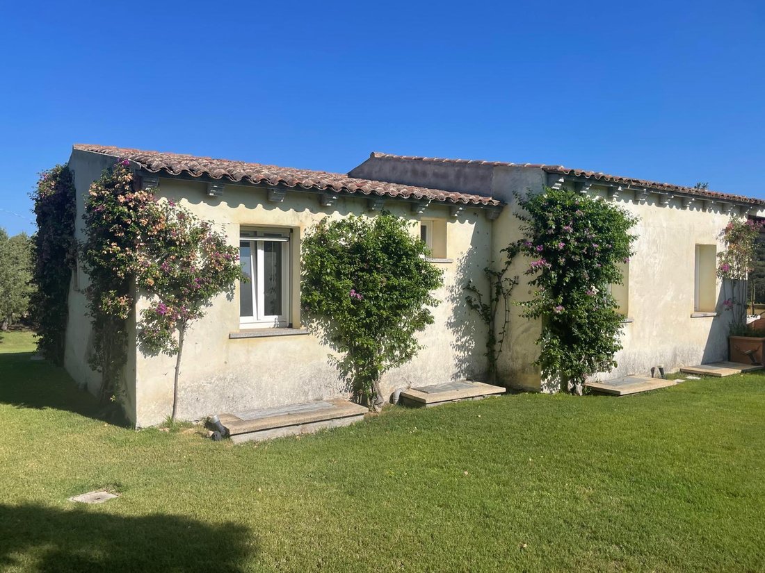 Land in San Pantaleo, Switzerland 3 - 18583331