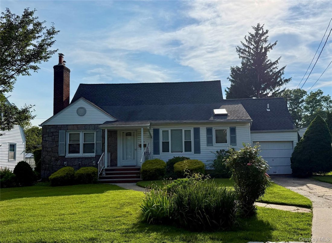 House in New Hyde Park, New York, United States 1 - 18583845