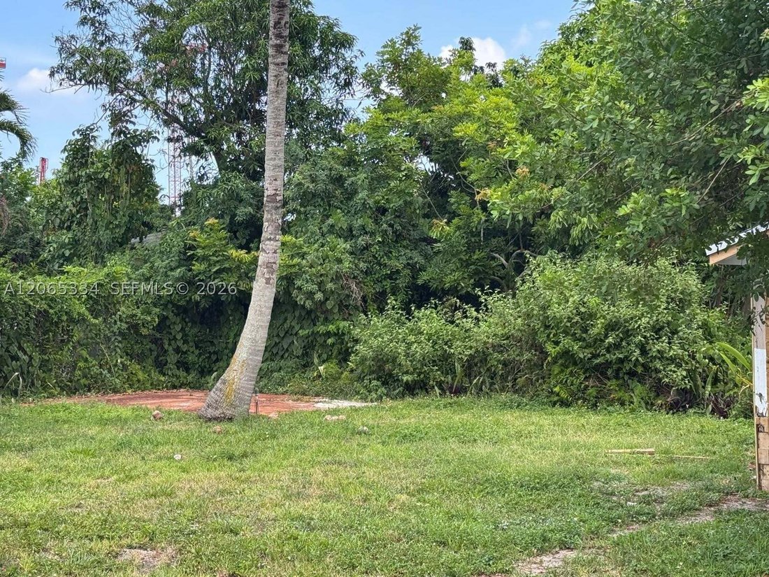 House in Miami, Florida, United States 4 - 18584416