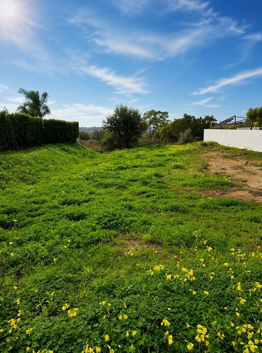 Land in Estoi, Algarve, Portugal 3 - 18435682