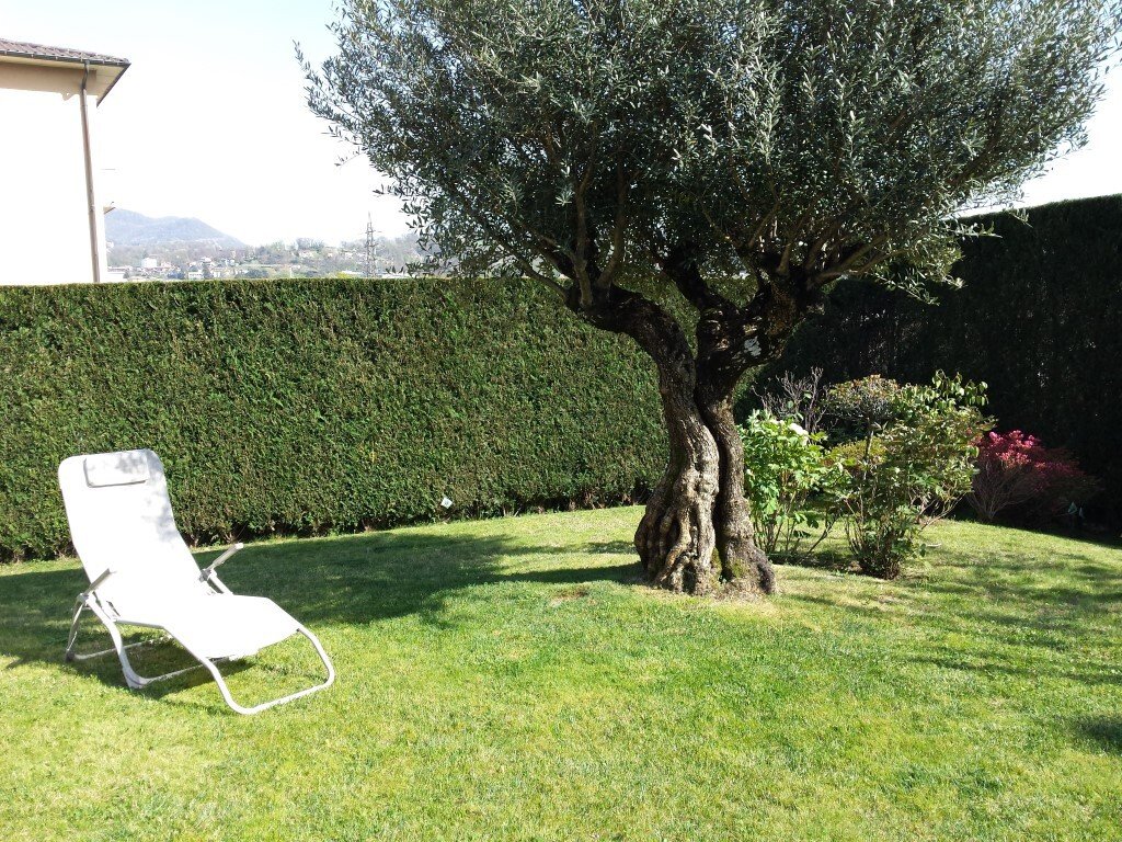 Haus in Mendrisio, Tessin, Schweiz 4 - 18580925