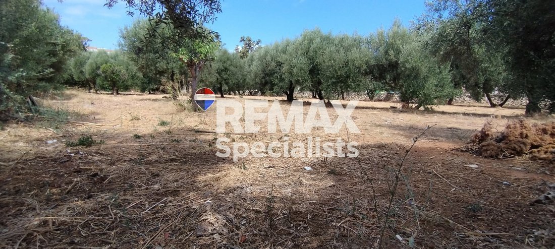 Land in Crete, Greece 1 - 18581875