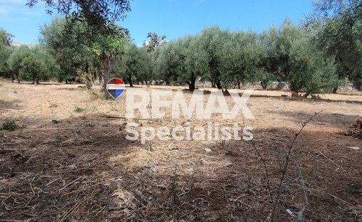 Land in Crete, Greece 1