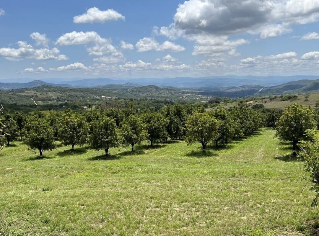 Farm Ranch in Mbombela, Mpumalanga, South Africa 1 - 18585128