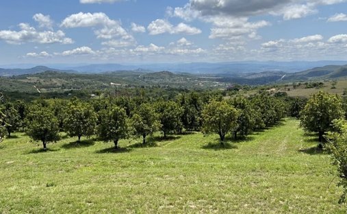 Farm Ranch in Mbombela, Mpumalanga, South Africa 1