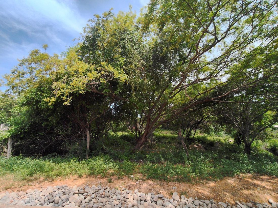 Land in Emiliano Zapata, Oaxaca, Mexico 5 - 18583049