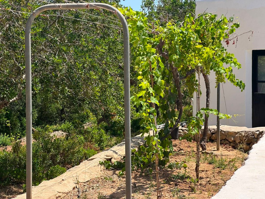 Finca in Santa Eularia des Riu, Balearic Islands, Spain 5 - 18583778