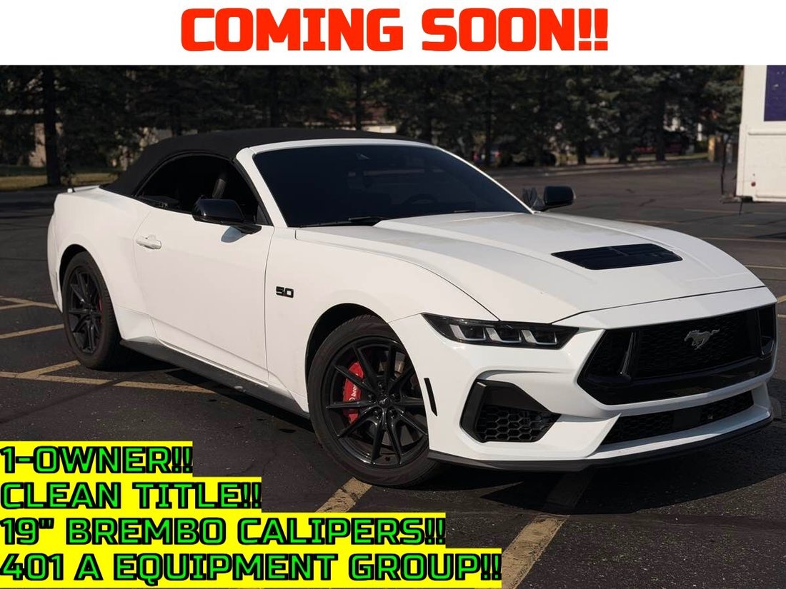 Cabriolet in Detroit, MI, United States 1 - 18555646