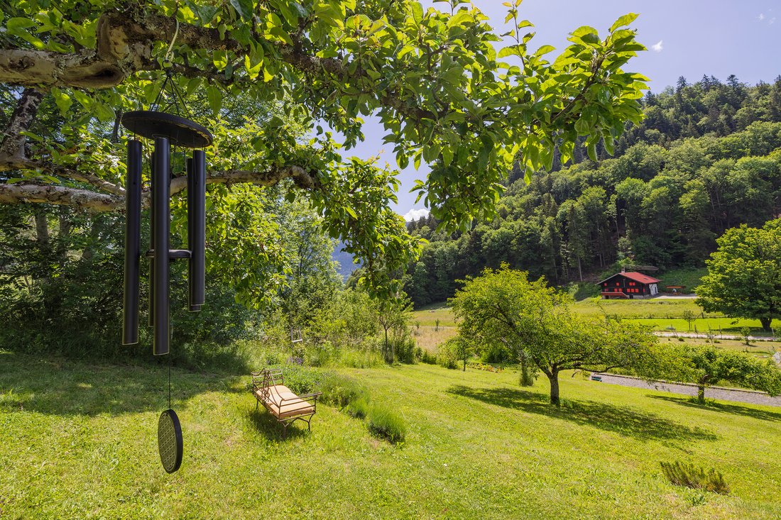 Chalet in Leysin, Vaud, Switzerland 5 - 18580576