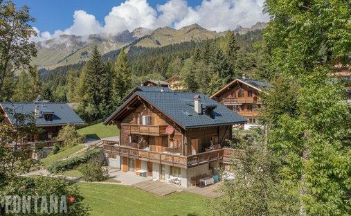Penthouse in Ormont-Dessus, Vaud, Switzerland 1