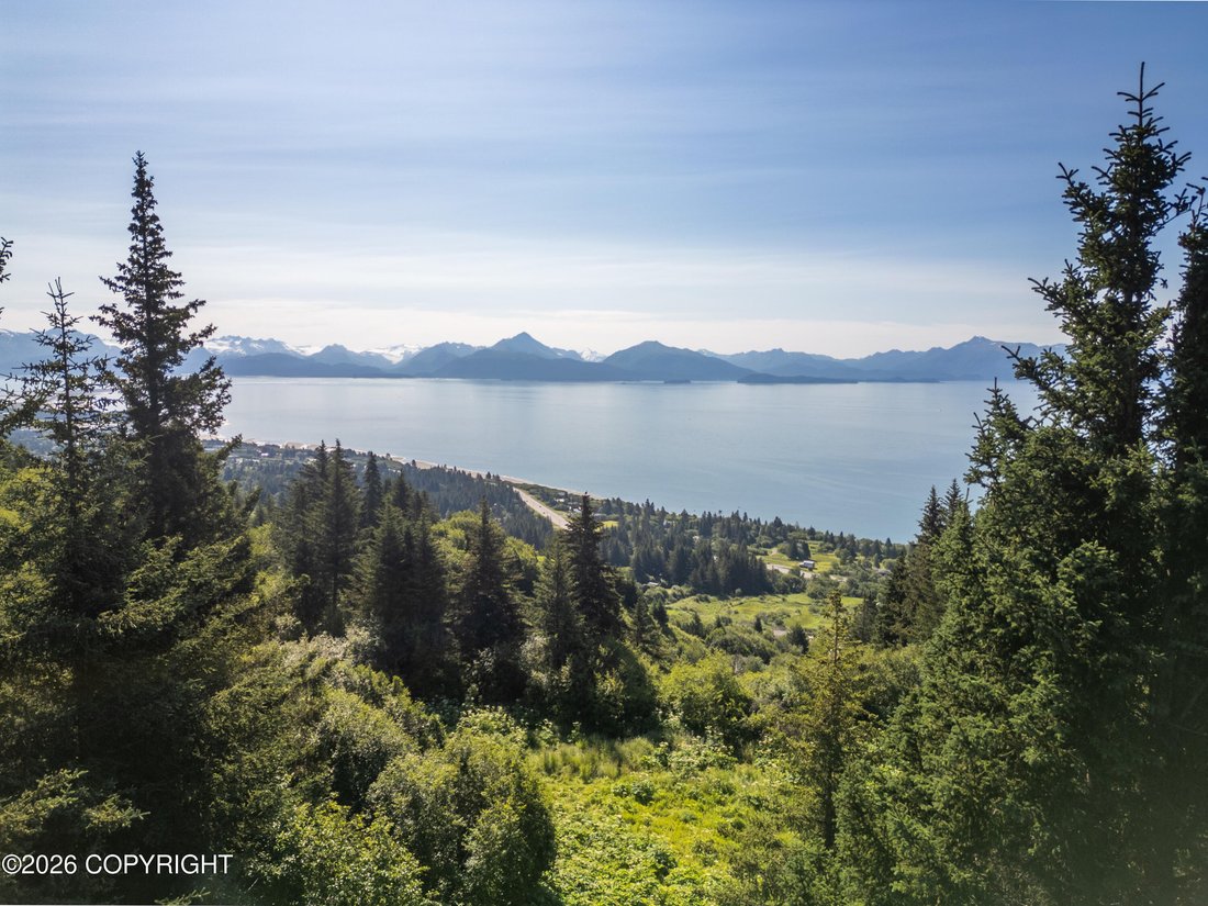 House in Homer, Alaska, United States 2 - 18584782