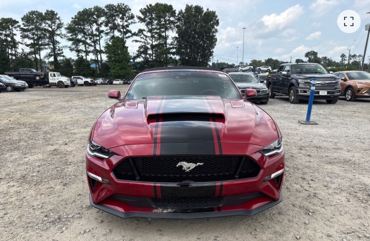 FORD MUSTANG in TUSCALOOSA, AL, United States 2 - 18584261