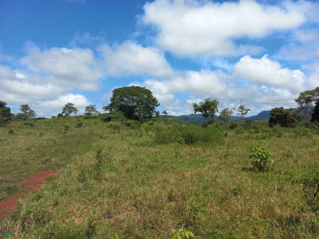 Land in Cóbano, Puntarenas Province, Costa Rica 3 - 18269781