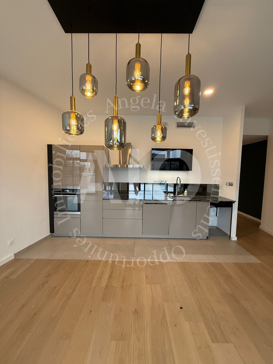 Apartment in Tassin le Bourg, Tassin-la-Demi-Lune, France 3 - 18585248