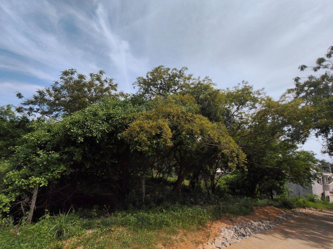 Land in Emiliano Zapata, Oaxaca, Mexico 4 - 18583049