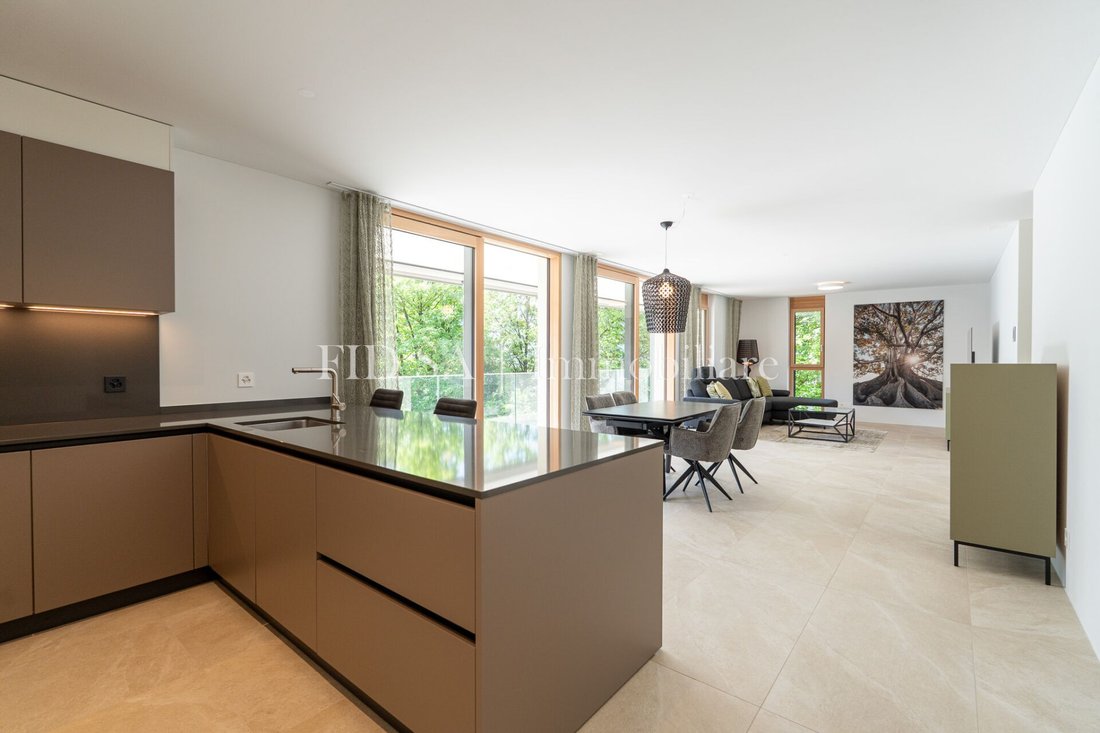 Apartment in Minusio, Ticino, Switzerland 1 - 18583494