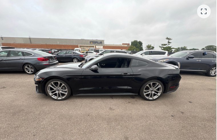 FORD MUSTANG in TUSCALOOSA, AL, United States 3 - 18584257
