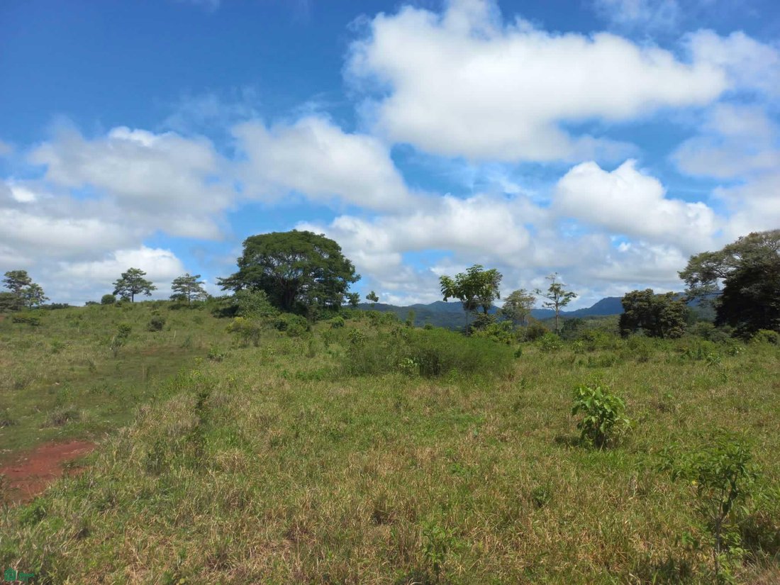 Land in Cóbano, Puntarenas Province, Costa Rica 1 - 18269781