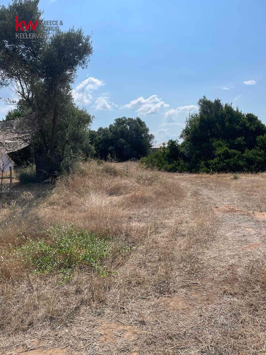 Land in Drosia Municipal Commune, Anthidon, Greece 1 - 18581873